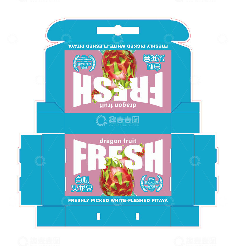源文件下载【趣麦麦图】火龙果包装插画白色火龙果