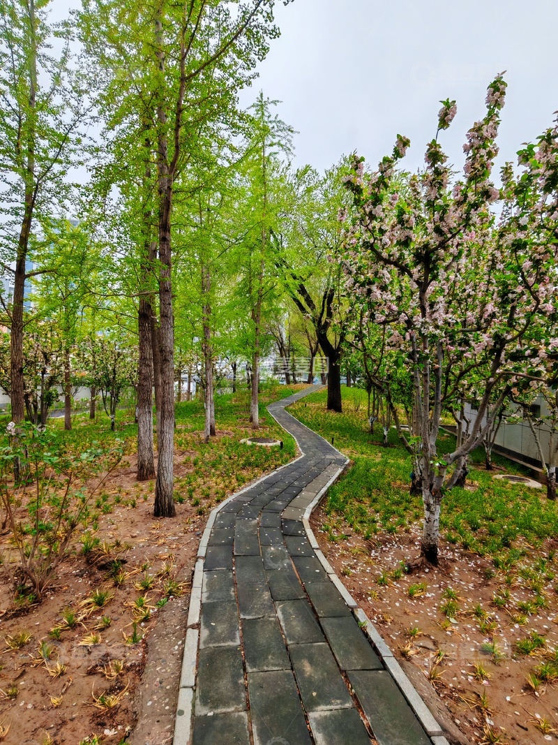 高清大图下载【趣麦麦图】公园小径春光