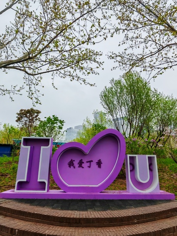 紫爱丁香公园景观