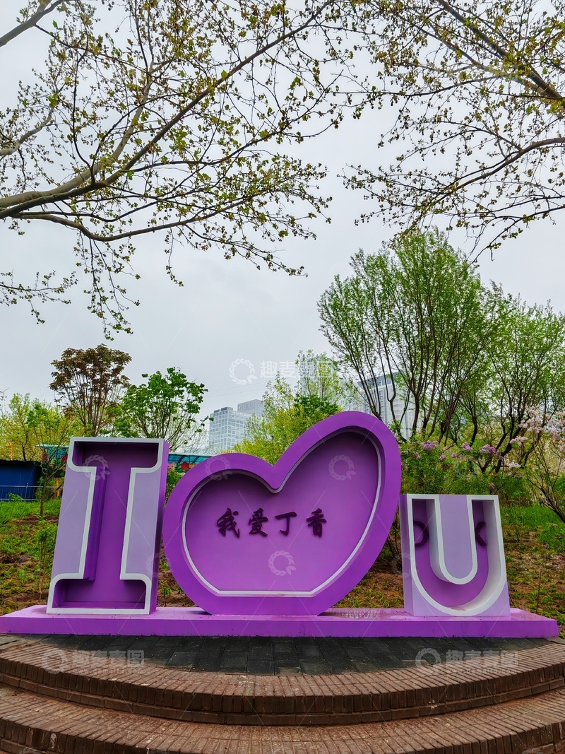 高清大图下载【趣麦麦图】紫爱丁香公园景观