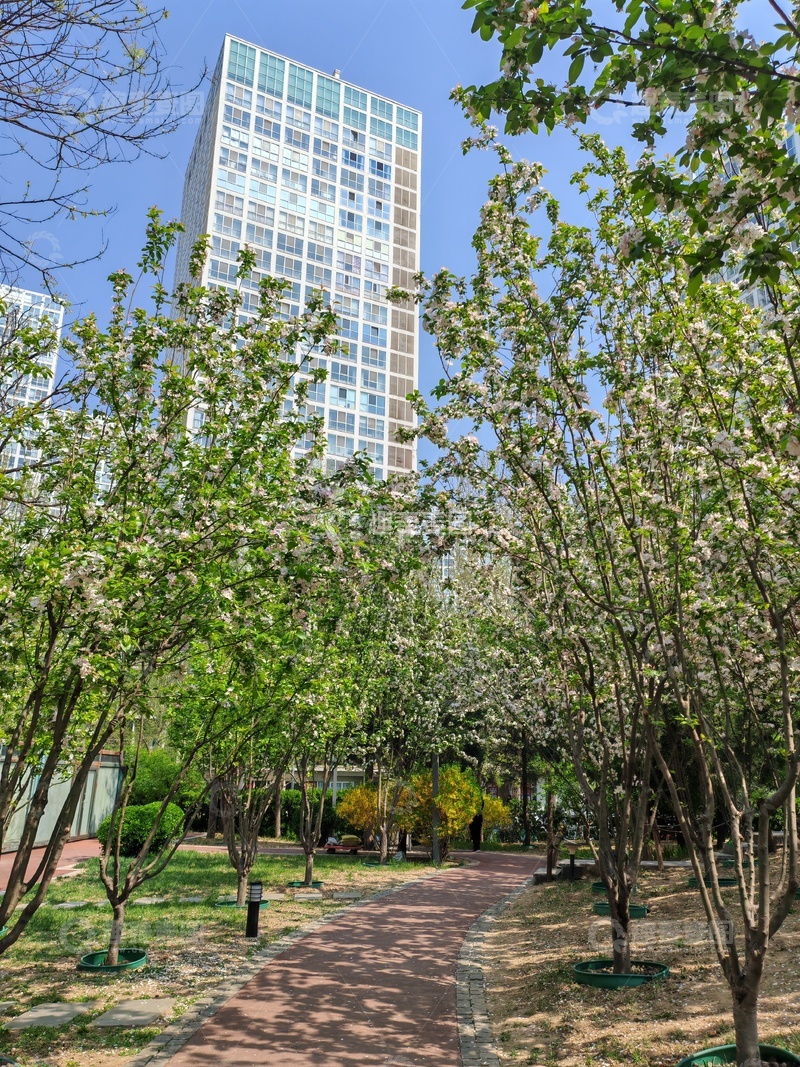 高清大图下载【趣麦麦图】城市绿化高楼背景