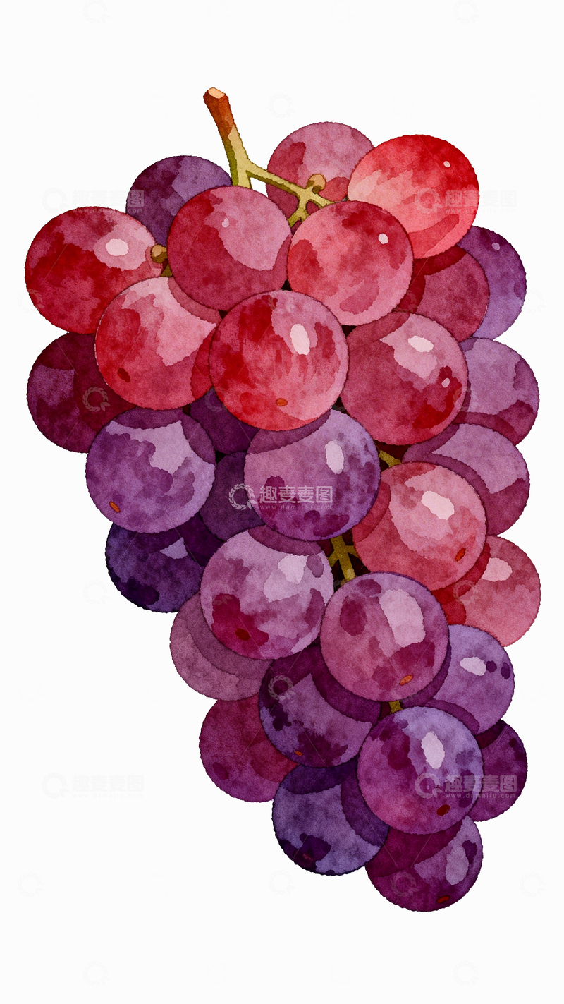 源文件下载【趣麦麦图】丝网印刷风格一串紫葡萄4