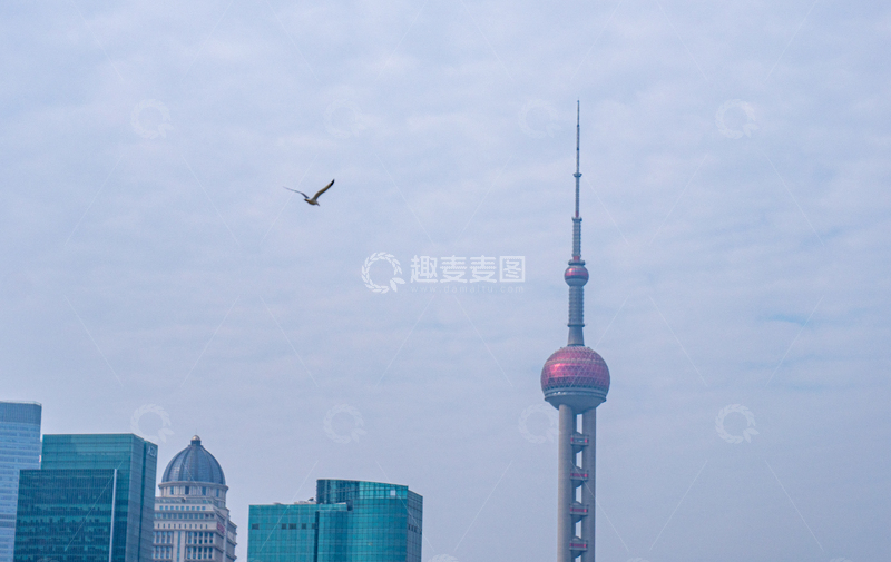 高清大图下载【趣麦麦图】城市天际线飞鸟飞过