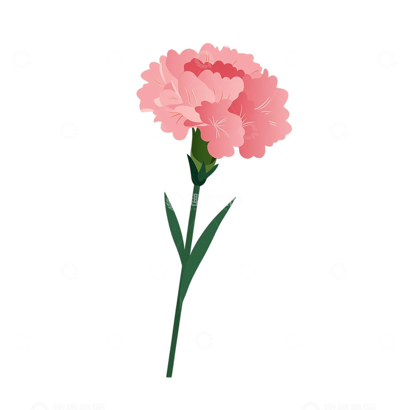 高清大图下载【趣麦麦图】柔情似水粉色花瓣盛放