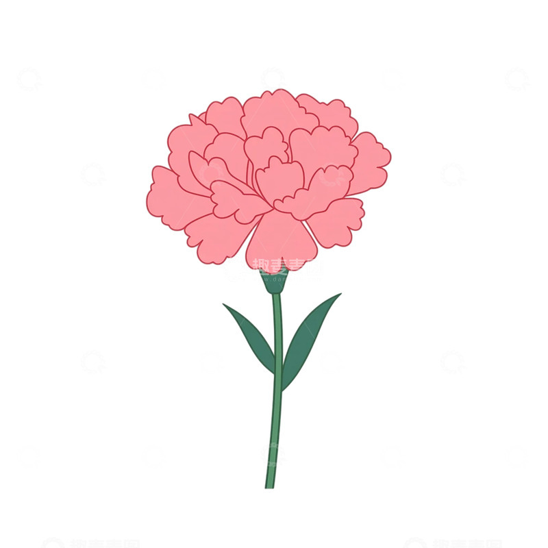 高清大图下载【趣麦麦图】绽放粉色温柔之花