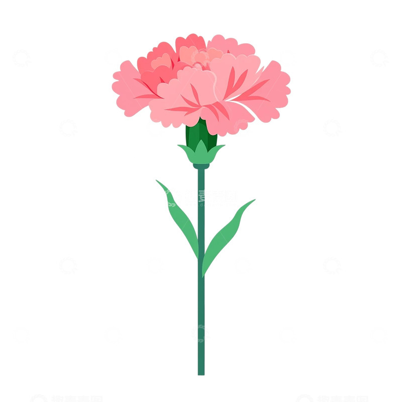 高清大图下载【趣麦麦图】粉色康乃馨的梦幻幻想