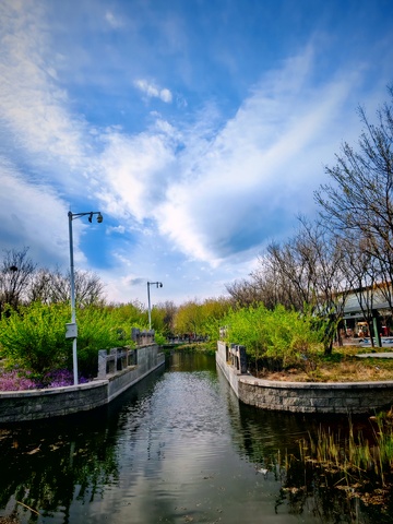 蓝天碧水运河春景