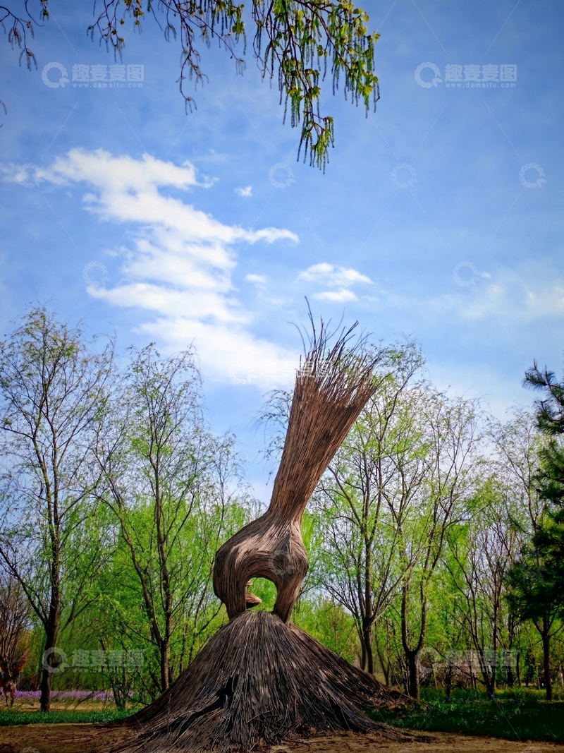 高清大图下载【趣麦麦图】扭曲树形公园景观艺术