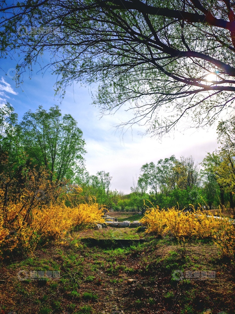 高清大图下载【趣麦麦图】春日公园风光摄影
