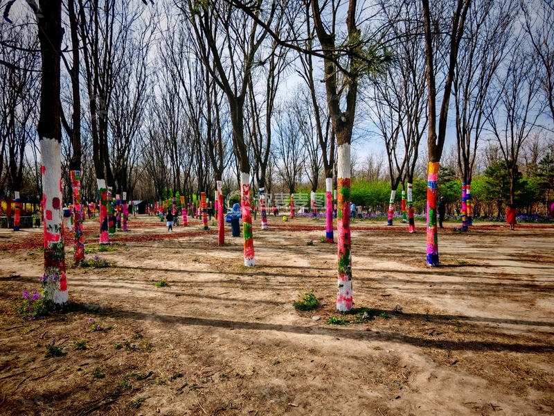 高清大图下载【趣麦麦图】彩绘树林春日风光摄影图片