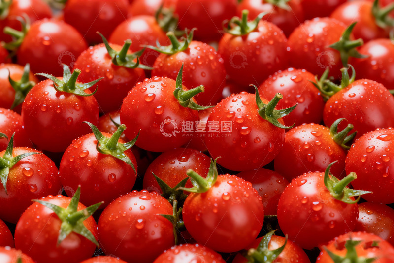 高清大图下载【趣麦麦图】新鲜番茄西红柿5