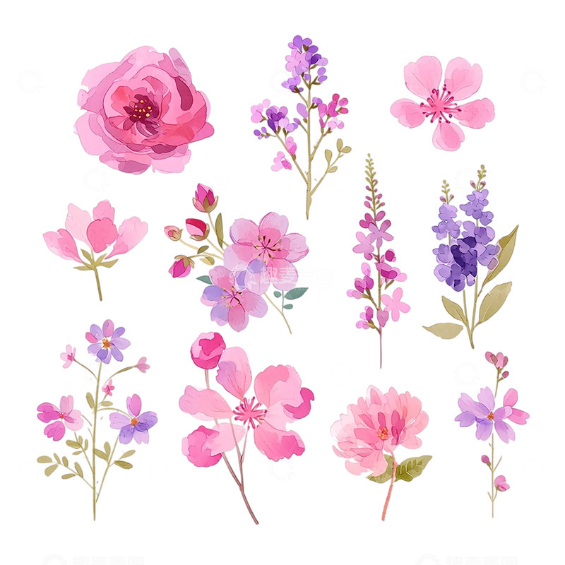 高清大图下载【趣麦麦图】灵动色彩花卉幻想世界