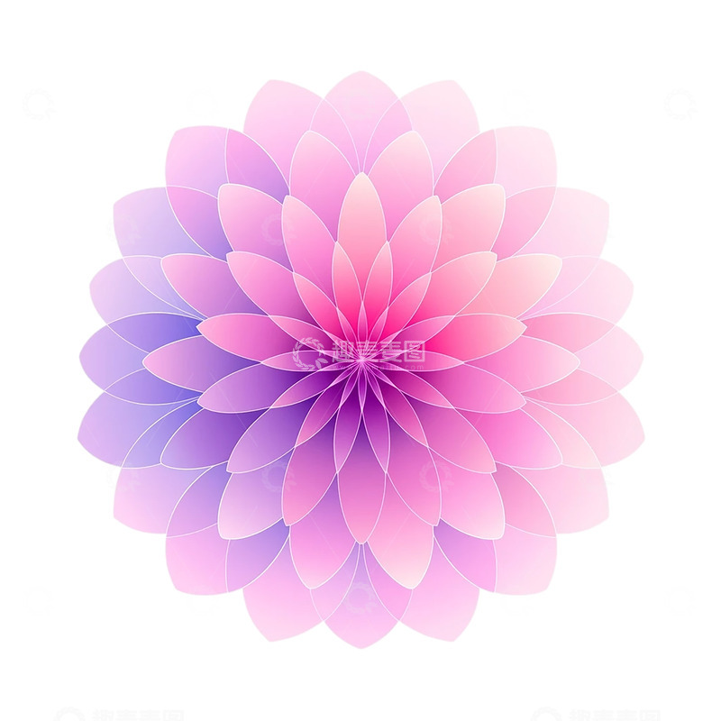 高清大图下载【趣麦麦图】梦幻几何花卉绽放盛宴