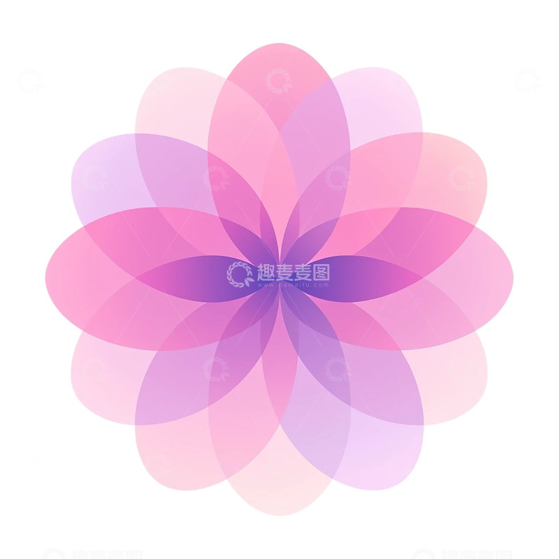 高清大图下载【趣麦麦图】梦幻花瓣的几何盛宴