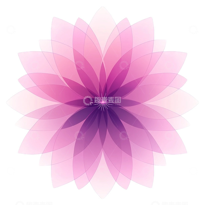 高清大图下载【趣麦麦图】梦幻几何花卉的奇幻盛宴