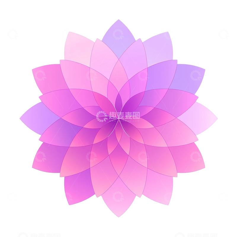 高清大图下载【趣麦麦图】梦幻花瓣的几何交响