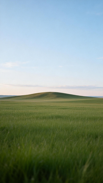 草原风光绿意盎然