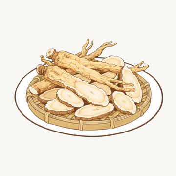 插画风格药材当归2