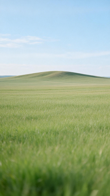 草原风光绿意盎然1