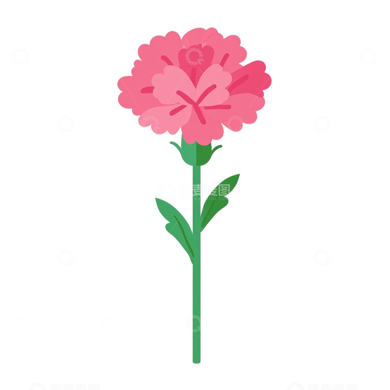 高清大图下载【趣麦麦图】粉色康乃馨的梦幻交响