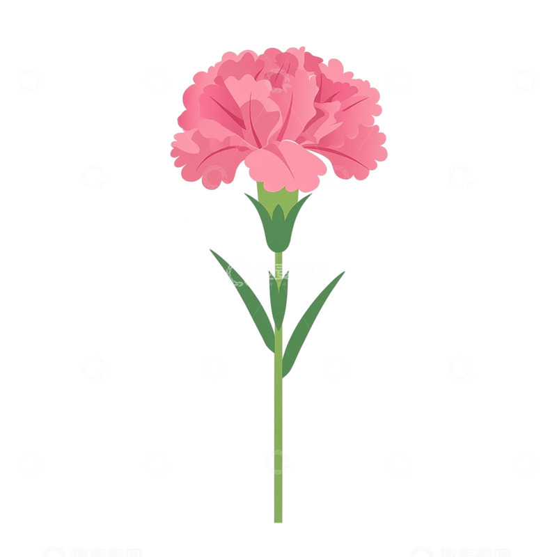 高清大图下载【趣麦麦图】柔美绽放的粉色花海奇迹