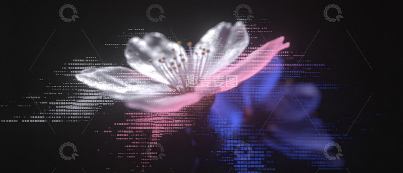 高清大图下载【趣麦麦图】科技花影数字艺术