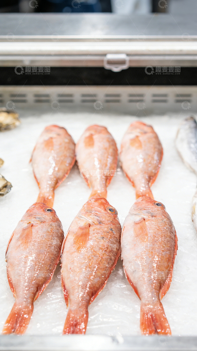 高清大图下载【趣麦麦图】冰鲜红鱼展示市场海鲜