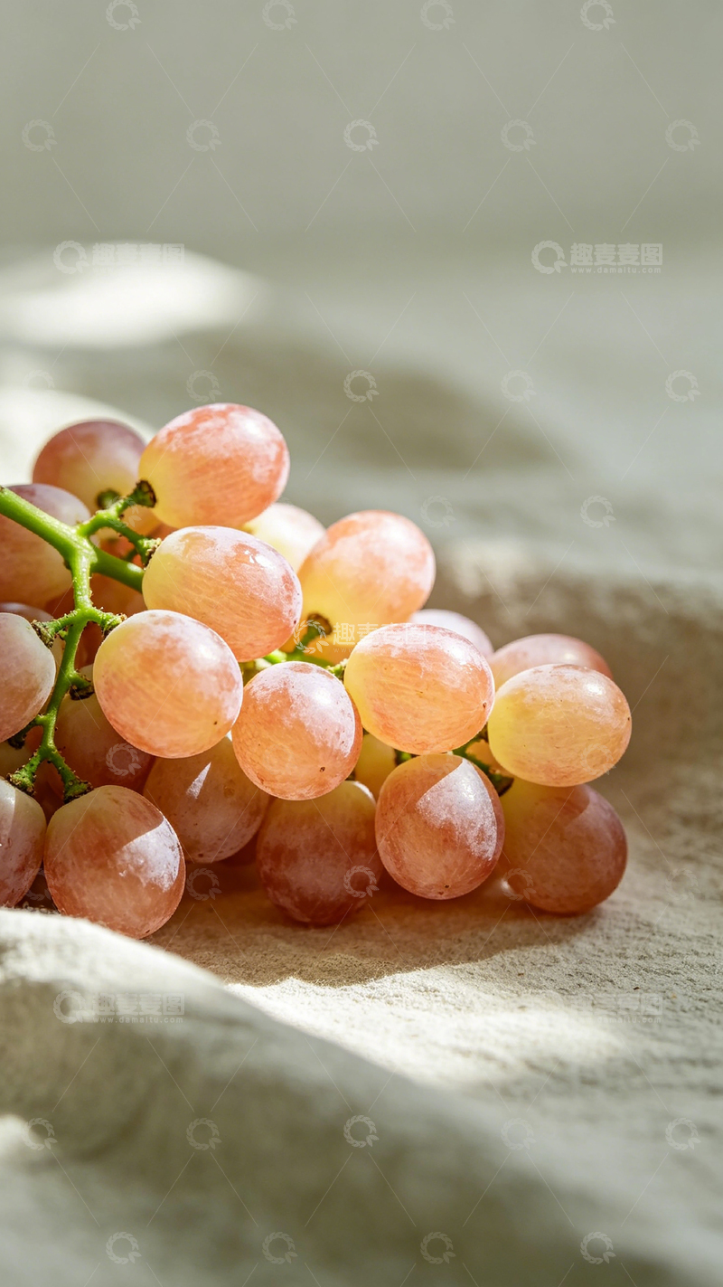 高清大图下载【趣麦麦图】清新葡萄特写光影摄影