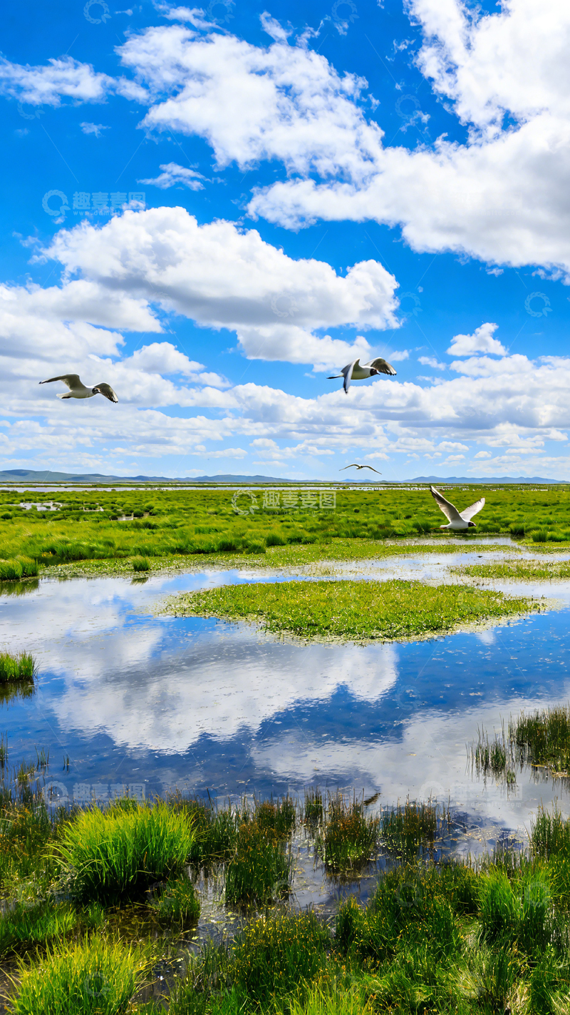 高清大图下载【趣麦麦图】蓝天白云湿地飞鸟风景