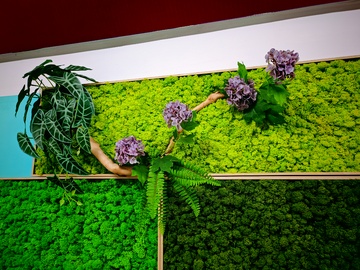 绿色植物墙园艺装饰设计图
