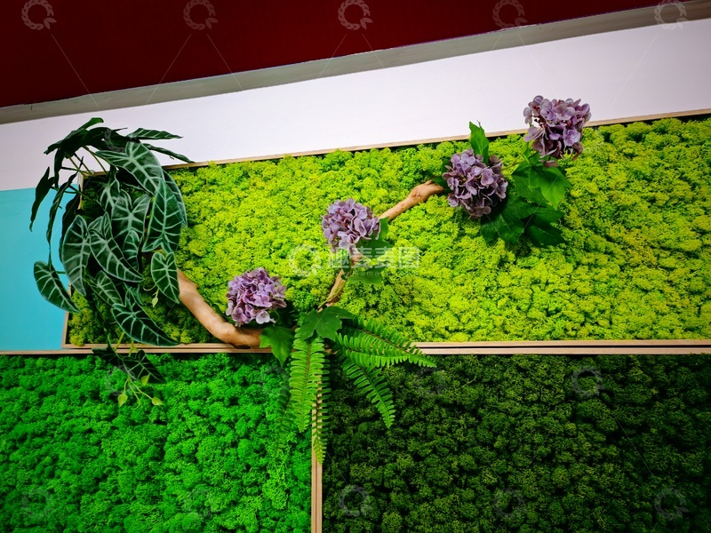 高清大图下载【趣麦麦图】绿色植物墙园艺装饰设计图