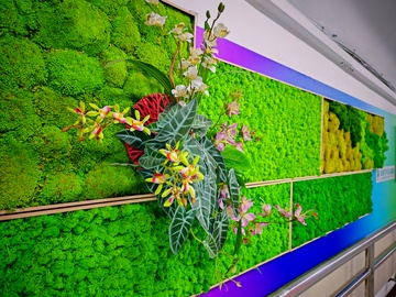 绿色植物墙装饰壁画