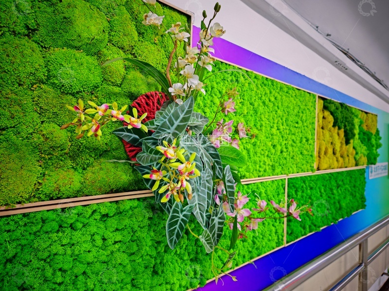 高清大图下载【趣麦麦图】绿色植物墙装饰壁画