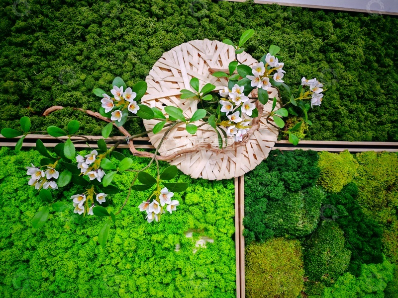 高清大图下载【趣麦麦图】绿色植物装饰设计景观