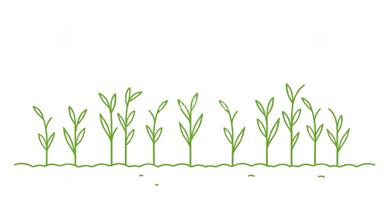 高清大图下载【趣麦麦图】春草萌动的绿色交响曲