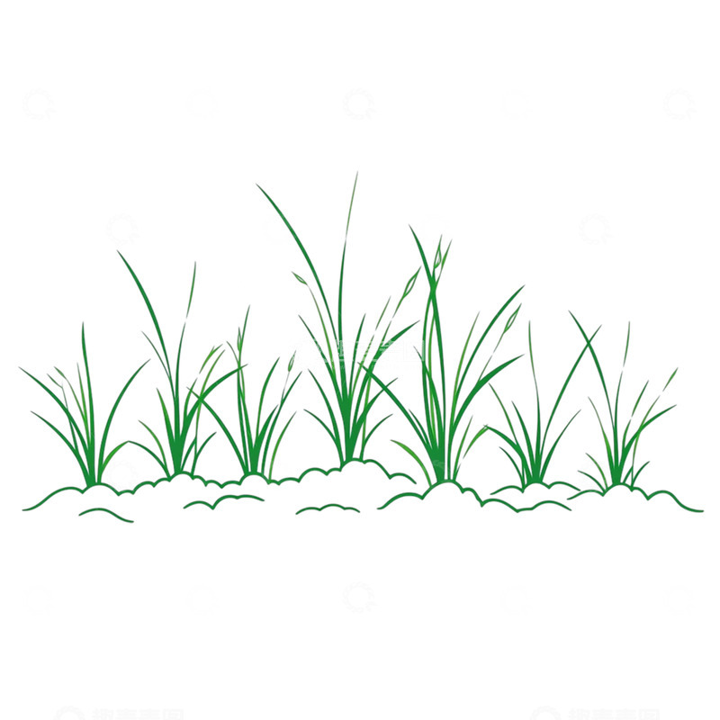 高清大图下载【趣麦麦图】春意盎然的青草海洋