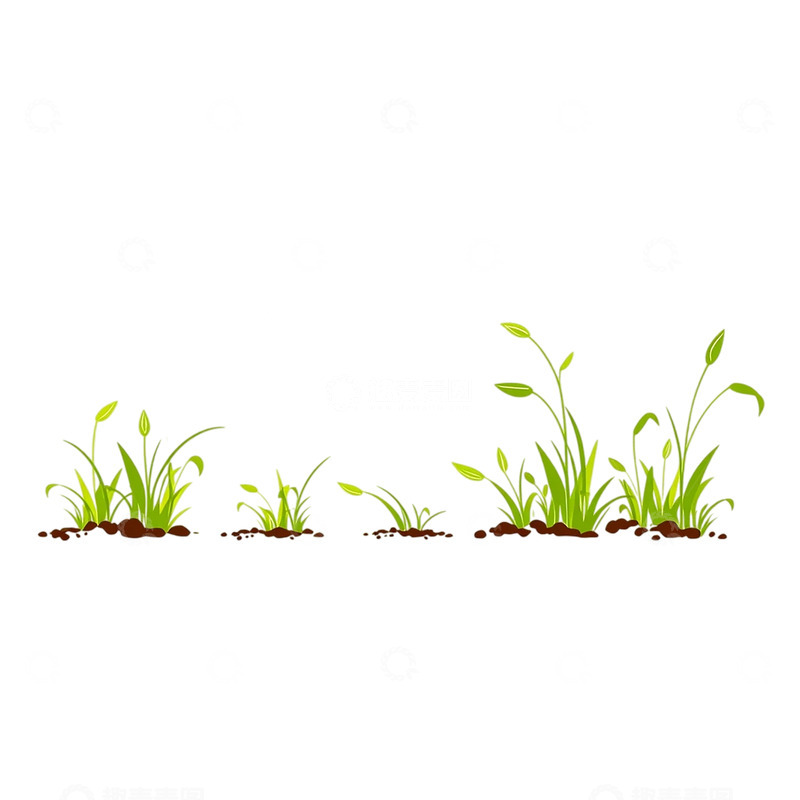 高清大图下载【趣麦麦图】春意盎然的嫩绿萌芽