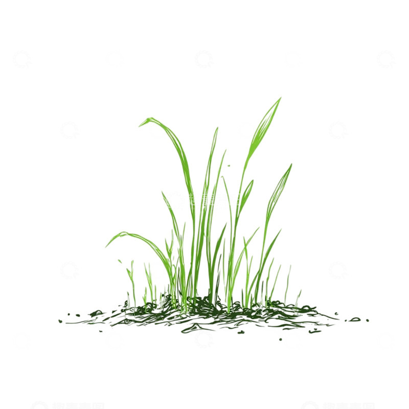 高清大图下载【趣麦麦图】生命的绿色奇迹展现