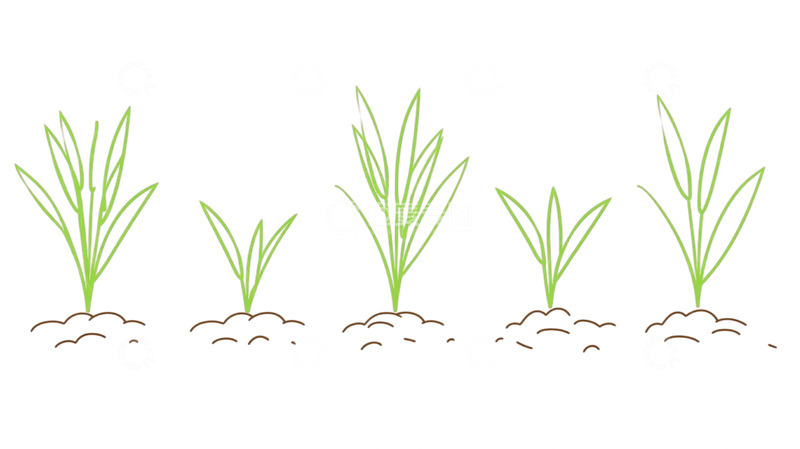 高清大图下载【趣麦麦图】春意盎然萌芽序曲