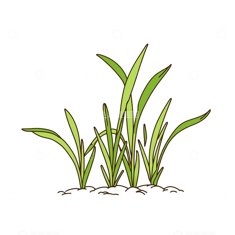 高清大图下载【趣麦麦图】春意盎然的青草盛开奇观