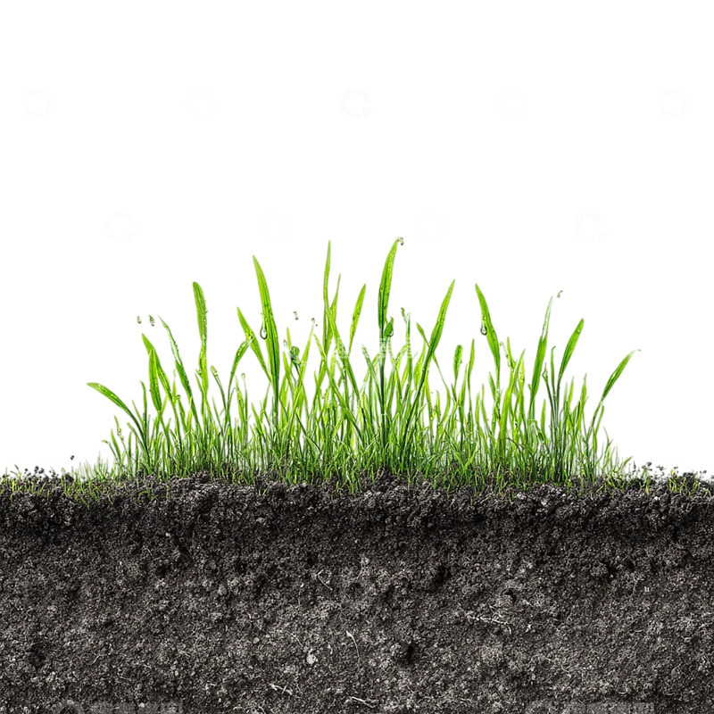 高清大图下载【趣麦麦图】生命萌芽的春日奇迹