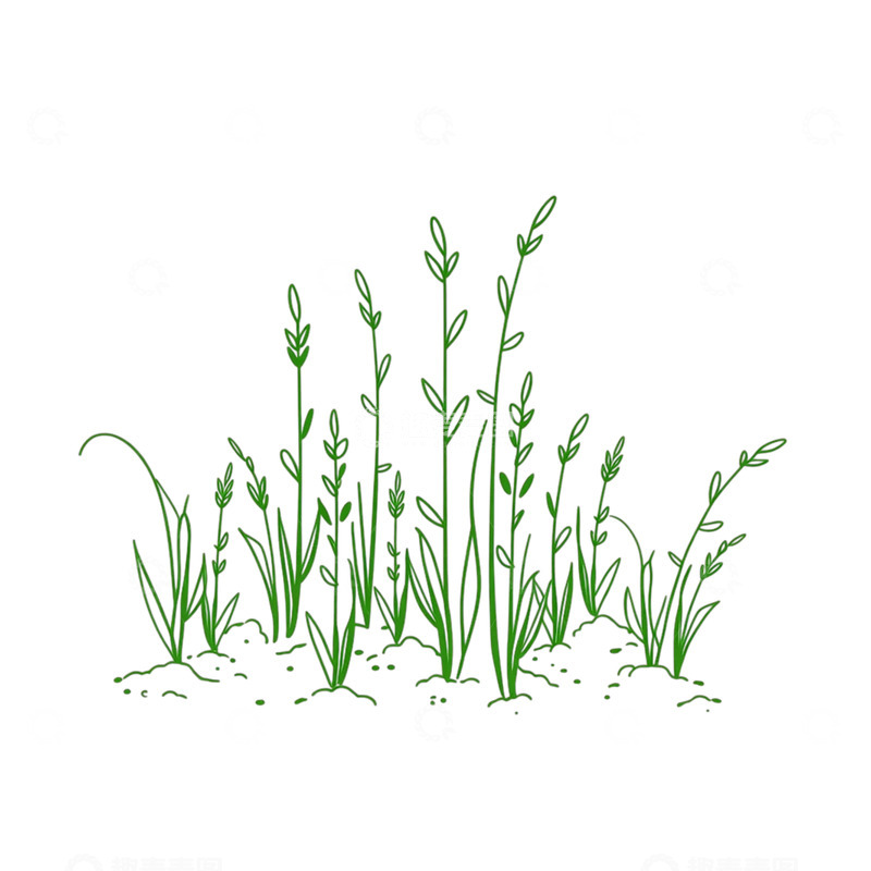 高清大图下载【趣麦麦图】春意盎然的青草律动