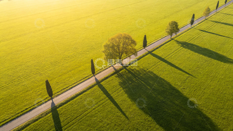 高清大图下载【趣麦麦图】田园风道路树木风景摄影