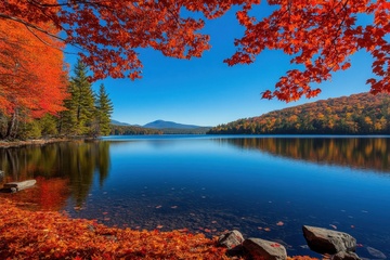 秋季红色的枫树和湖泊