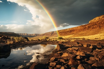 旷野里的一道彩虹