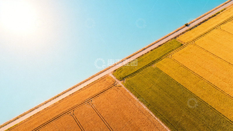 高清大图下载【趣麦麦图】田园风光航拍农田道路景观