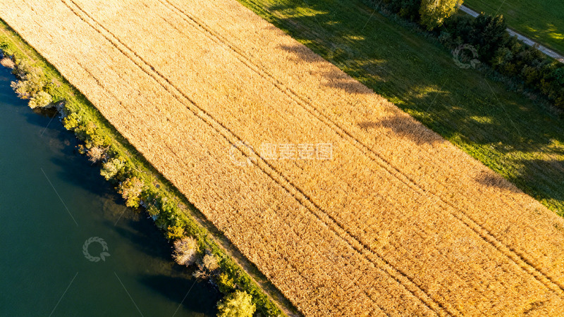 高清大图下载【趣麦麦图】航拍金色麦田河流风光