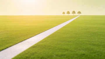 田园风白路绿草远树景