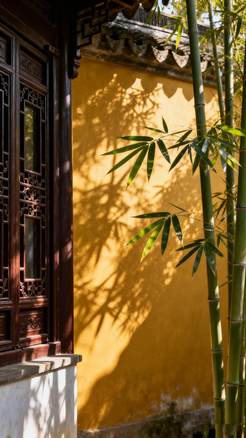 古典园林竹影黄墙
