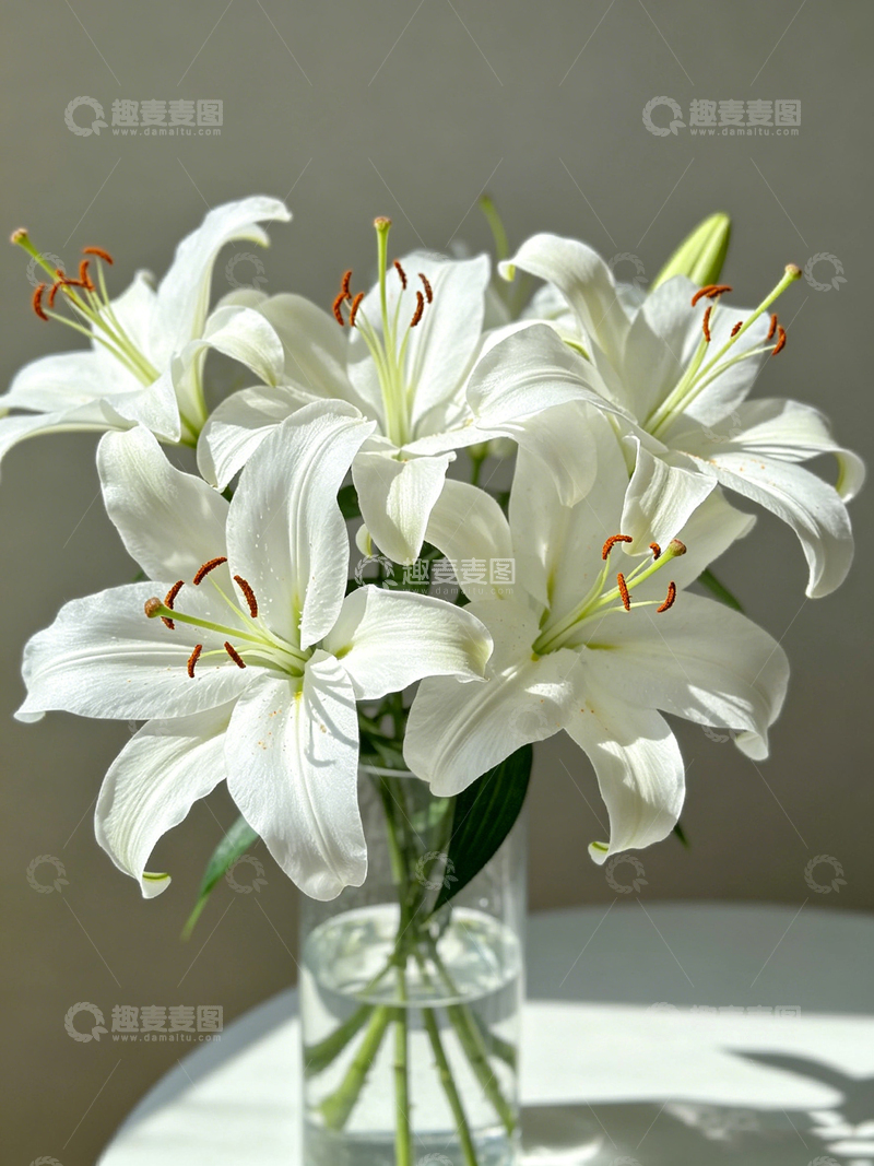高清大图下载【趣麦麦图】清新百合花束摄影